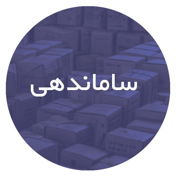 کارتن فروشی در ساماندهی