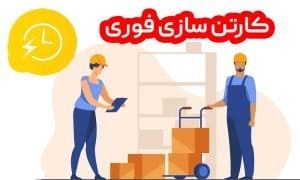 کارتن سازی فوری